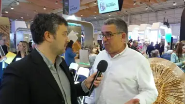 Abrantes aposta no olivoturismo para valorizar a fileira do azeite