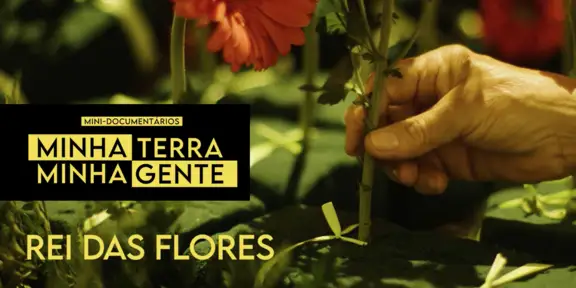 Rei das Flores