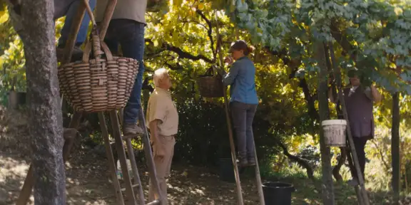 De Gente & De Vinha | A Vinha de Enforcado nos Vinhos Verdes