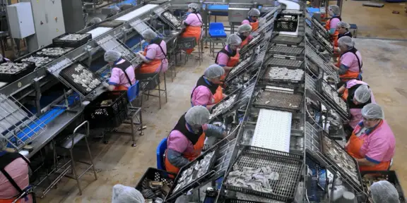 Manuel Ramirez - Uma História de Sucesso