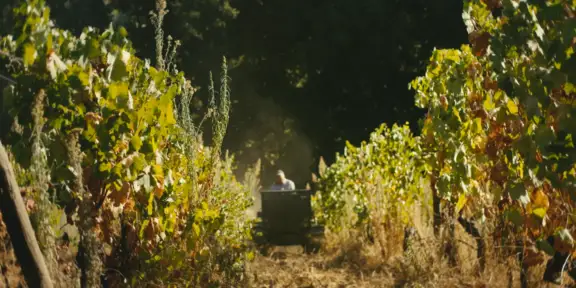 De Gente & De Vinha | Entre o Céu e a Terra