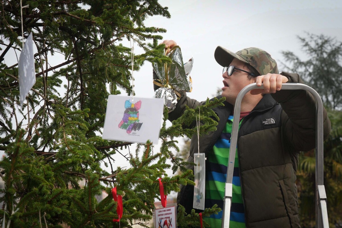Árvore dos Sonhos de Natal em Braga