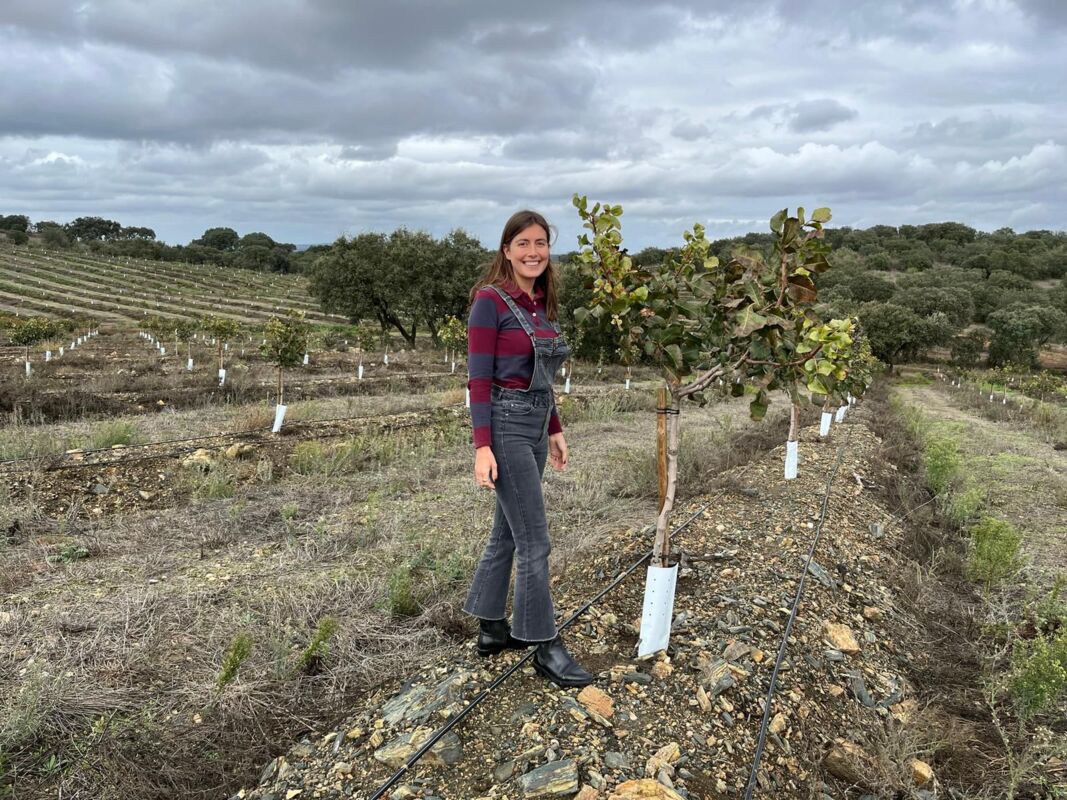 Pistachios à Portuguesa
