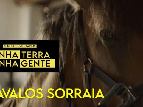 Cavalos Sorraia