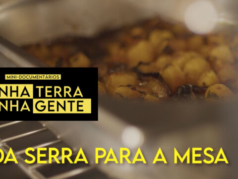 Da serra para a mesa