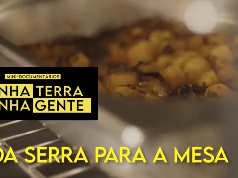 Da serra para a mesa