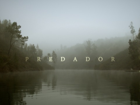 Predador