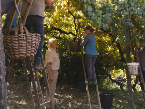 De Gente &amp; De Vinha | A Vinha de Enforcado nos Vinhos Verdes