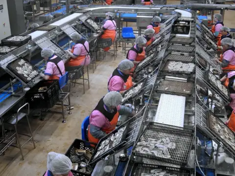 Manuel Ramirez - Uma História de Sucesso