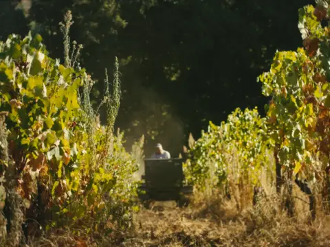 De Gente &amp; De Vinha | Entre o Céu e a Terra