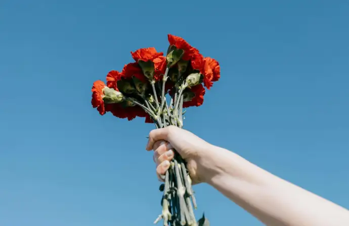 Uma mão a segurar um ramo de cravos vermelhos, com um fundo de céu azul.