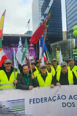Agricultores portugueses na manifestação em Bruxelas, com coletes refletores e bandeiras