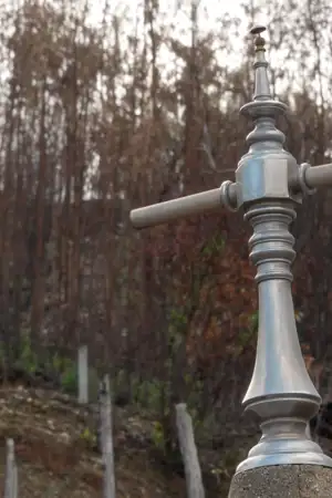 Terra queimada em Pardieiros