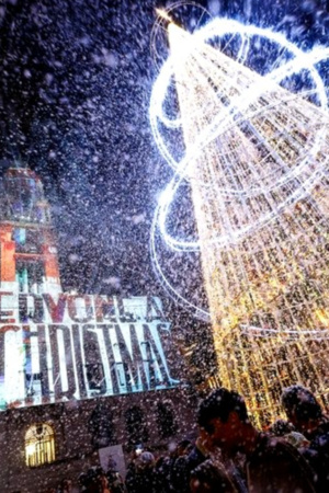 Árvore de Natal e fachada do edifício da Câmara do Porto