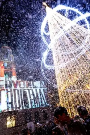 Árvore de Natal e fachada do edifício da Câmara do Porto