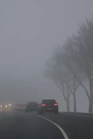 Nevoeiro numa estrada