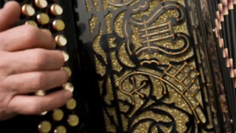 Concertina.