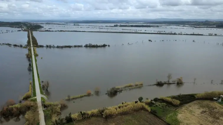 Reparação do canal de rega do Baixo Mondego arranca na próxima semana