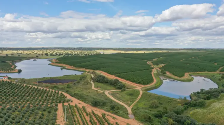 Monte das Marzalonas