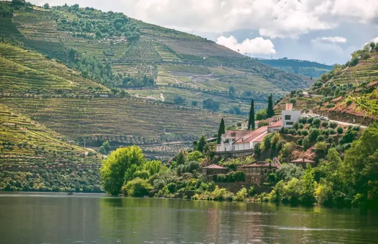 Paisagem das vinhas no rio Douro.