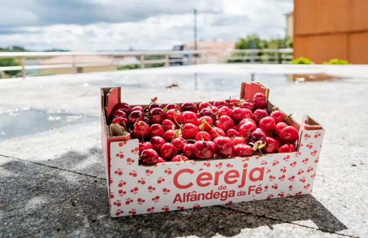 cereja