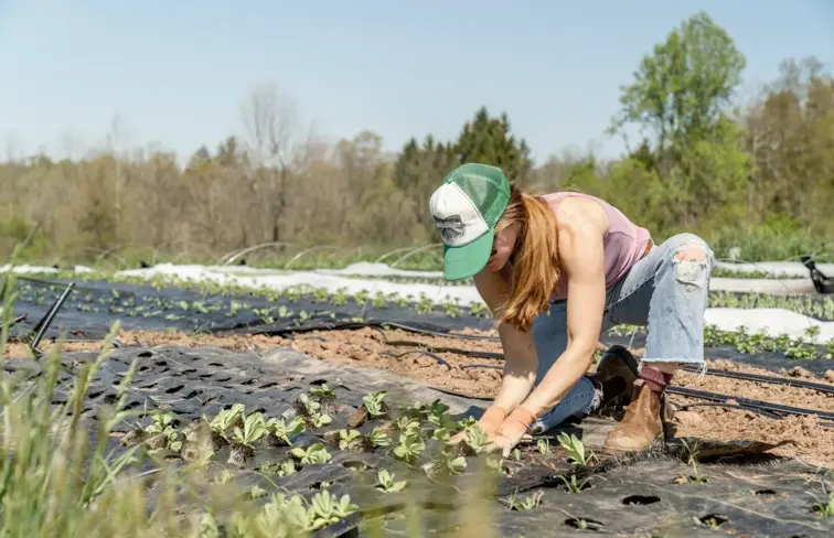 Jovem agricultora a plantar hortícolas