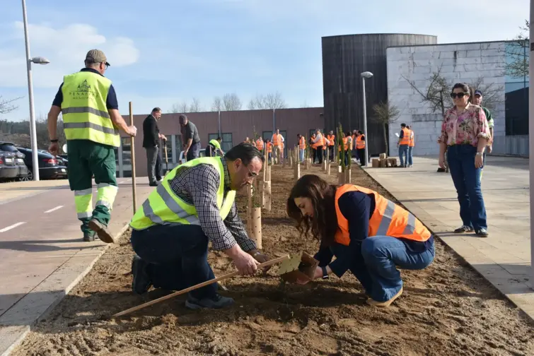 Ação de plantação envolveu dezenas de pessoas
