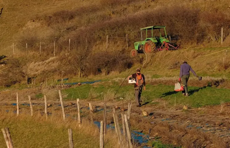 Trabalhadores agrícolas no campo