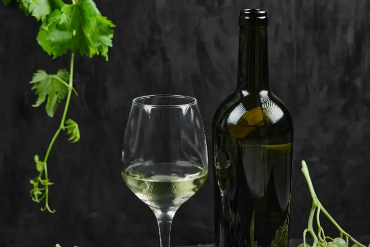 Comissão dos Vinhos Verdes lança coletivo de sustentabilidade para a região