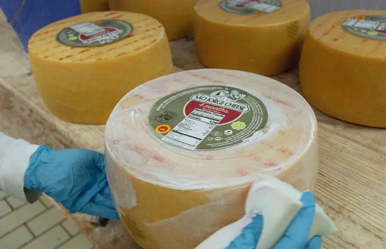 queijo