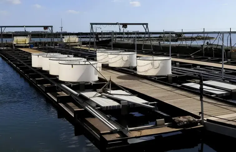 Viveiros de aquacultura.