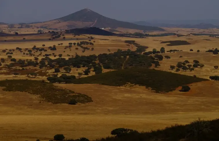 Vista aérea de paisagem alentejana.