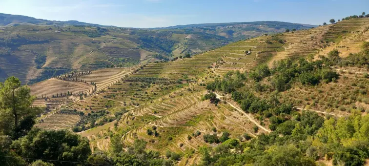 Imagem aérea do Douro Vinhateiro