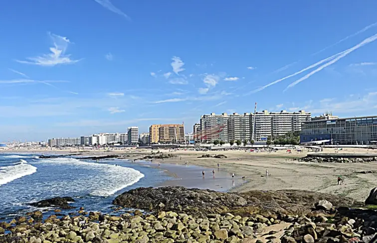 Panorâmica da praia de Matosinhos, com a anémuna no fundo e vários edifícios.