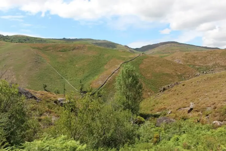 Fojo do Lobo de Germil