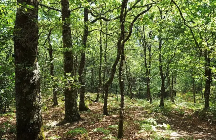 Municípios do Douro e Tâmega desmistificam regras da Paisagem Protegida da Serra da Aboboreira