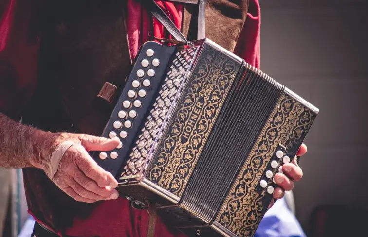 Mãos a tocar acordeão