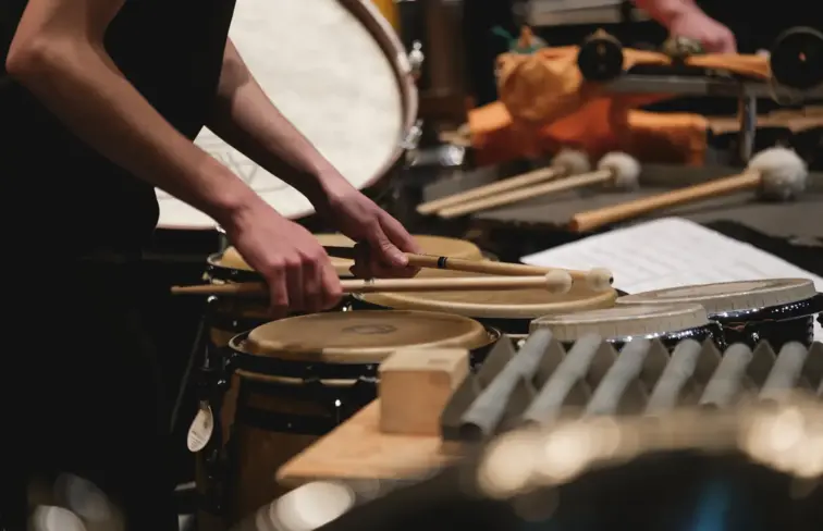 instrumentos musicais