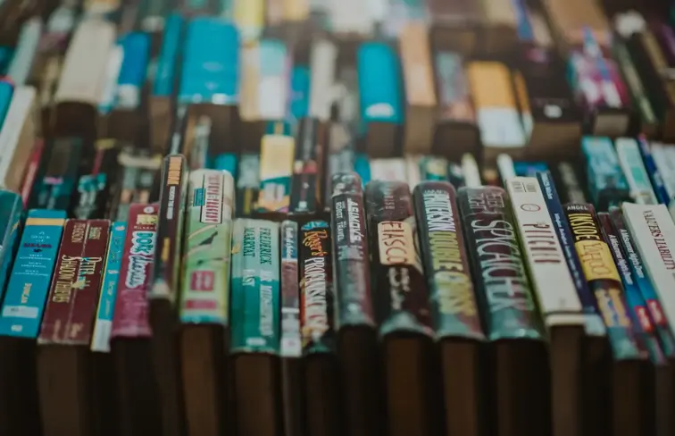 Uma série de livros, uns ao lado dos outros, onde se vê várias lombadas de livros.