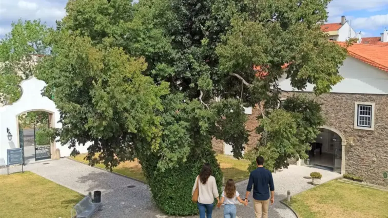 Escola de Hotelaria e Turismo de Coimbra promove a iniciativa "À Procura da Minha Carreira – Pais e Filhos à Descoberta da EHTC"