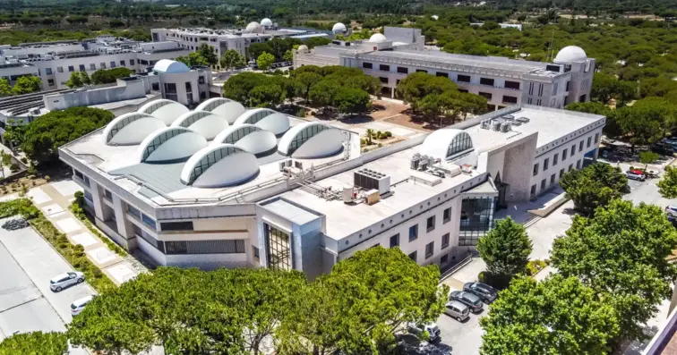 Universidade do Algarve