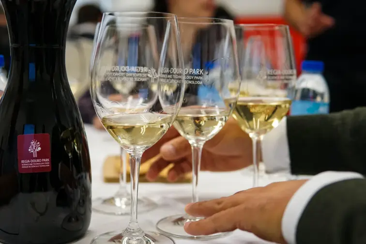 Douro TGV