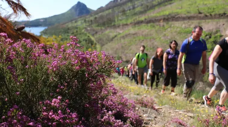 Festival de Caminhadas da Pampilhosa da Serra