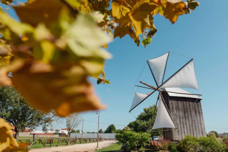 Festival dos Moinhos