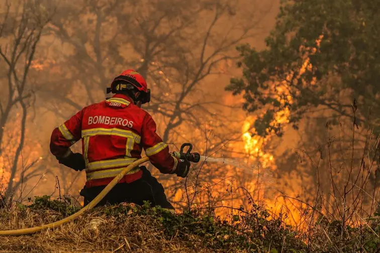 Imagem de bombeiro a combater incêndio