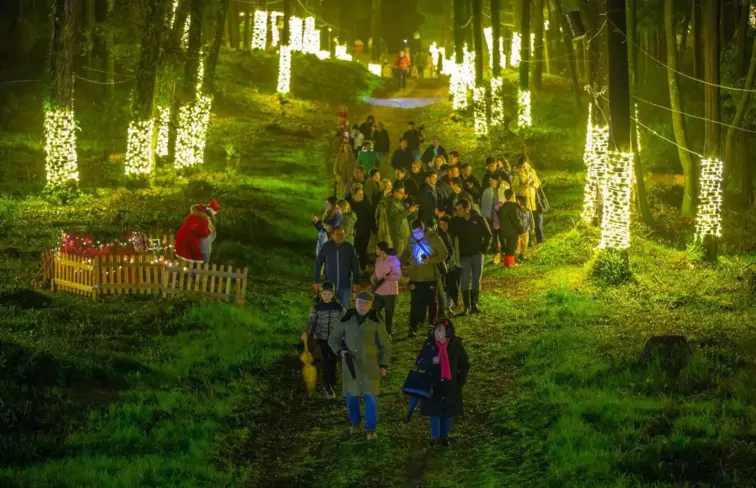 A Mata Nacional do Camarido enfeitada com luzes, à noite, e com pessoas num caminho.