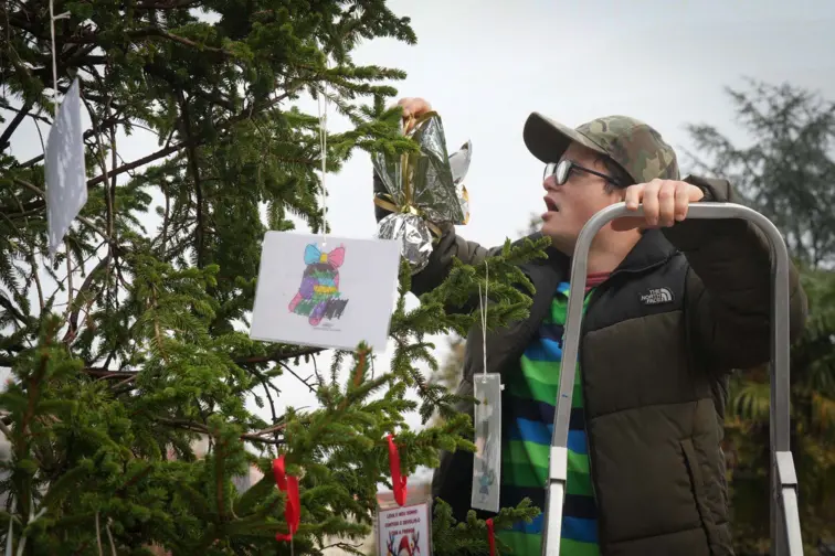 Árvore dos Sonhos de Natal em Braga