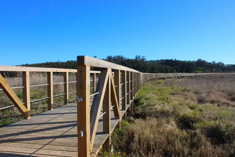 Reposição de passadiços em praias de Vagos nas prioridades identificadas pela APA