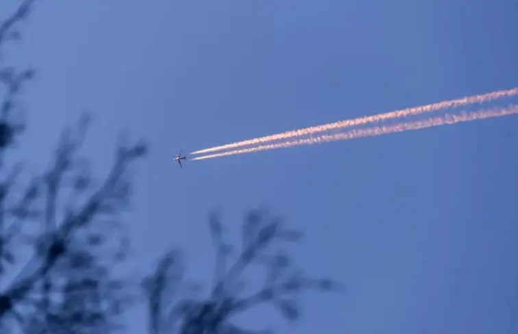 Avião a cruzar o céu com ramos de uma árvore num plano mais próximo