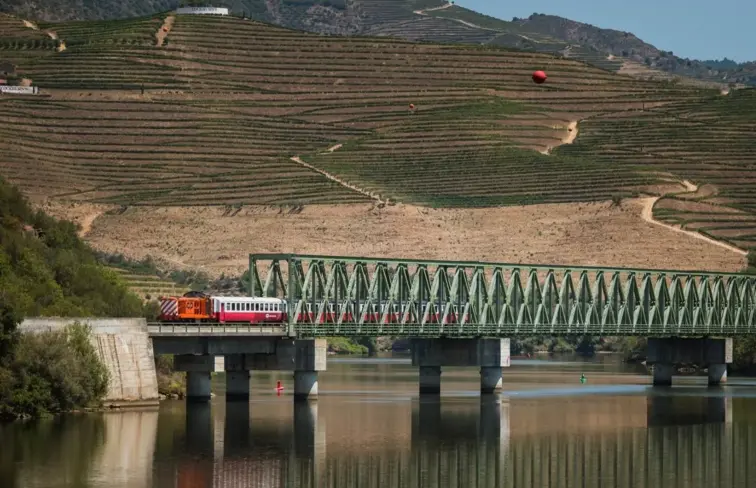 Comboio a atravessar linha do Douro